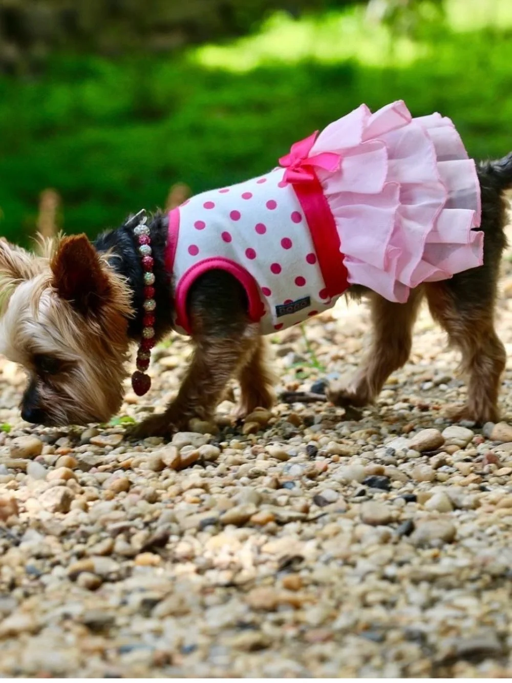 Pink Polka Dot Tulle Pet Dress